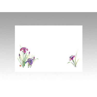 カミイソ産商 テーブルマット 尺3寸 No.218 しょうぶ 72000218 1袋(100枚)（直送品）