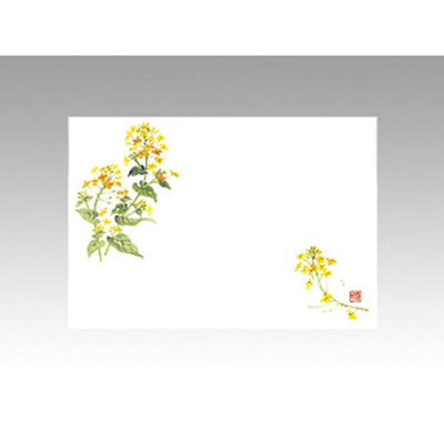 カミイソ産商 テーブルマット 尺3寸 No.266 菜の花 72000266 1袋(100枚)（直送品）