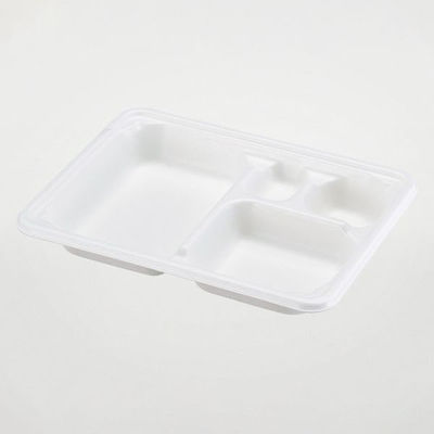 パックスタイル バガス容器 WB弁当 23-17E ラミ 653878 1袋(50個)（直送品）