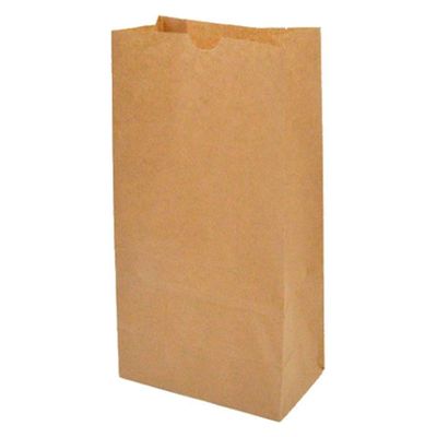 パックタケヤマ 紙袋 角底袋 ハイバッグ H12 未晒無地 XZT00386 1袋(100個)（直送品）