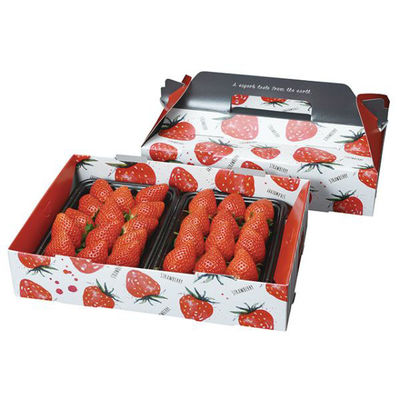 パックスタイル フルーツ容器 PS手提箱イチゴ 2P※イチゴは入っていません 00553649 1袋(20個)（直送品）