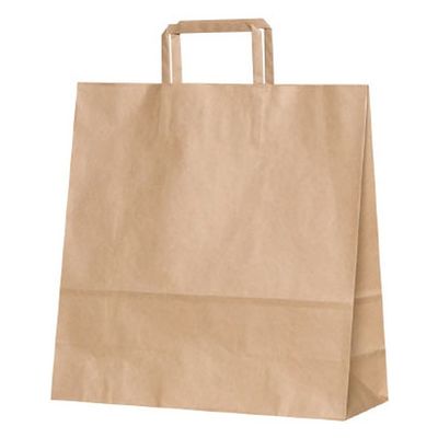 パックタケヤマ 紙袋 平紐 3才 茶無地 XZT69851 1袋(50個)（直送品）