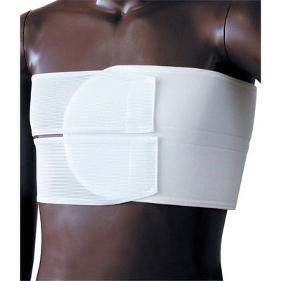 日本衛材 ニューバストタイダブル(L) 24-2835-02 1個（直送品）