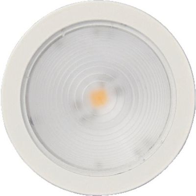 スガツネ工業 SUGATSUNE (220021818)SLーGX531ーWNWTLEDライト SL-GX531-WNWT 1個（直送品）