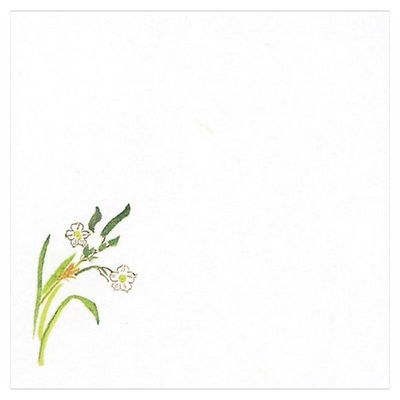 マイン 紙・演出小物 M30-243 耐油懐敷 12角 水仙 100枚入 120点 1セット(120点入)（直送品）