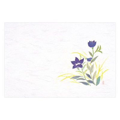 マイン 紙・演出小物 M30-252 四季紙 千寿 ききょう 100枚入 10点 1セット(10点入)（直送品）