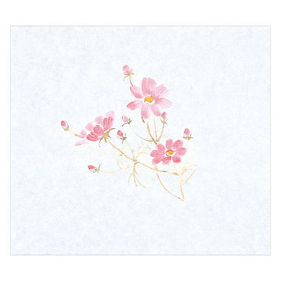 マイン 紙・演出小物 M30-248 鮮度保持紙 (大) 秋桜 100枚入 50点 1セット(50点入)（直送品）