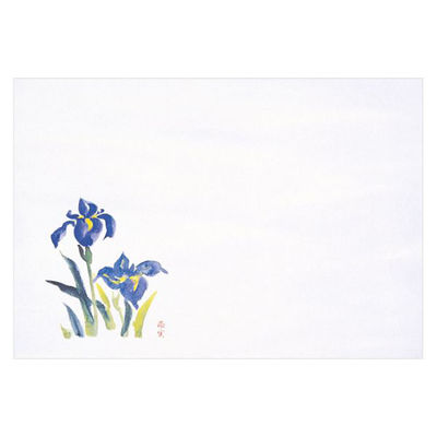 マイン 紙・演出小物 M30-316 四季紙 富久寿 尺5 あやめ 100枚入 10点 1セット(10点入)（直送品）