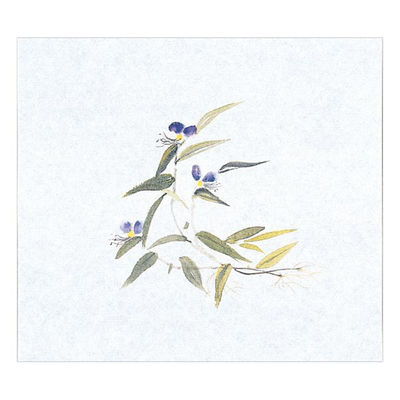 マイン 紙・演出小物 M30-355 鮮度保持紙 (大) つゆくさ 100枚入 50点 1セット(50点入)（直送品）