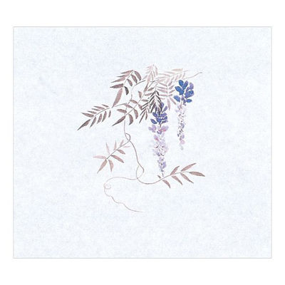 マイン 紙・演出小物 M30-354 鮮度保持紙 (大) 藤 100枚入　50点　1セット(50点入)（直送品）