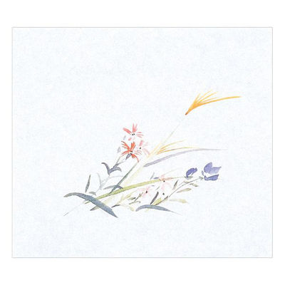 マイン 紙・演出小物 M30-359 鮮度保持紙 (大) 秋草 100枚入 50点 1セット(50点入)（直送品）