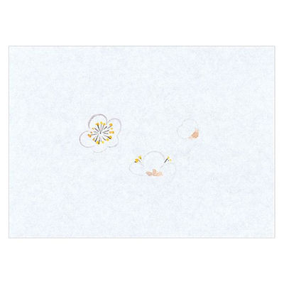 マイン 紙・演出小物 M30-363 鮮度保持紙 (小) 梅 100枚入 50点 1セット(50点入)（直送品）