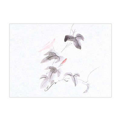 マイン 紙・演出小物 M30-368 鮮度保持紙 (小) 朝顔 100枚入 50点 1セット(50点入)（直送品）