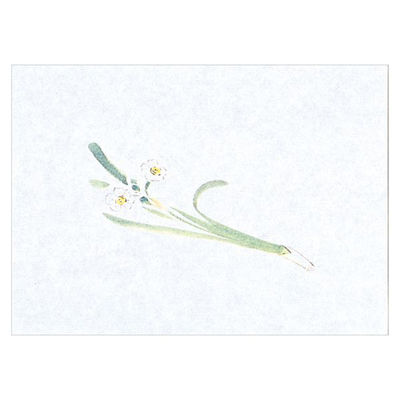 マイン 紙・演出小物 M30-375 鮮度保持紙 (小) 水仙 100枚入 50点 1セット(50点入)（直送品）