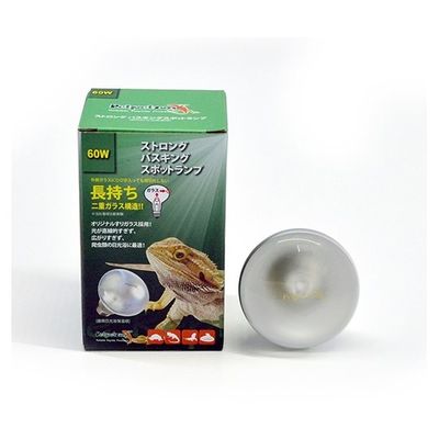ゼンスイ 飼育用昼用日光浴保温球 ストロングバスキングスポットランプ 60W 64-8787-43 1個（直送品）
