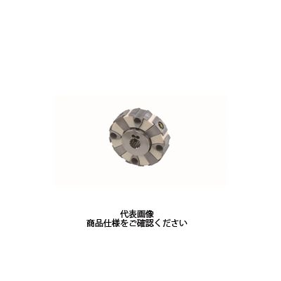三木プーリ センタフレックスカップリング CFーH CFーHー160ーO0 三木プーリ センタフレックスカップリング CFーH CFーHー160ーO0