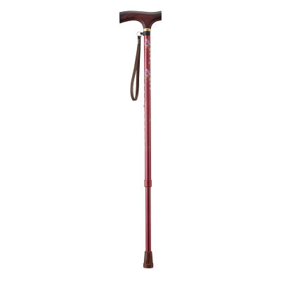 幸和製作所 テイコブ伸縮ステッキ EP03　（直送品）