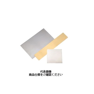 岩田製作所 シムプレート TS50ー50ー08 1セット(15個)（直送品 