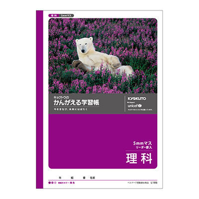 日本ノート かんがえる学習帳 理科5mmマス L185 10冊（直送品
