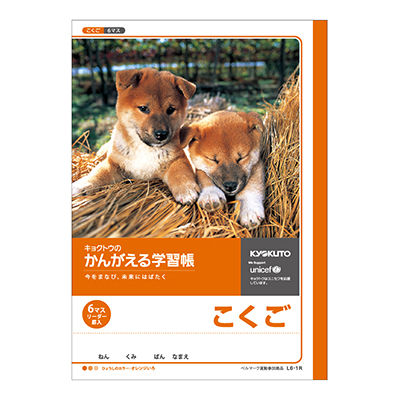 日本ノート かんがえる学習帳 こくご6マス L6-1R 10冊（直送品