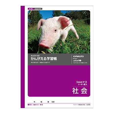 日本ノート かんがえる学習帳 社会5mmマス L225 10冊（直送品） - アスクル