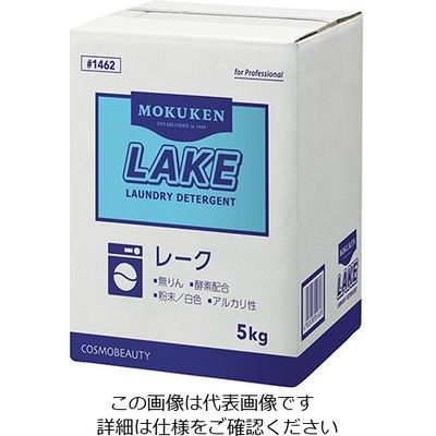 コスモビューティー 業務用衣料洗剤 5kg レークカラー 3-4848-01 1個（直送品）