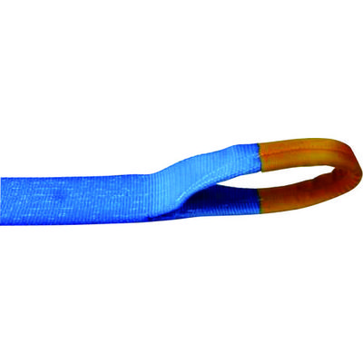 テザック TESAC ラッシングベルト(ベルト荷締機)ラチェットバックル式アイタイプ R100E010-070A 1台(1個)（直送品）