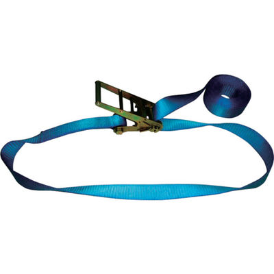 テザック TESAC ラッシングベルト(ベルト荷締機)ラチェットバックル式エンドレスタイプ R100N080-000A 1台(1個)（直送品）