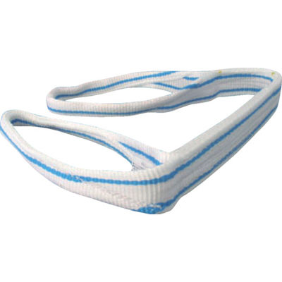 テザック TESAC 耐化学薬品用スリング(JIS2等級・両端アイ形)50mm幅×4m PP2E50X4 1本 793-1522（直送品）
