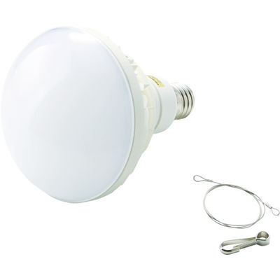 トラスコ中山 TRUSCO LED投光器用 50W LED球 RTL-50W 1個 790-2701（直送品）