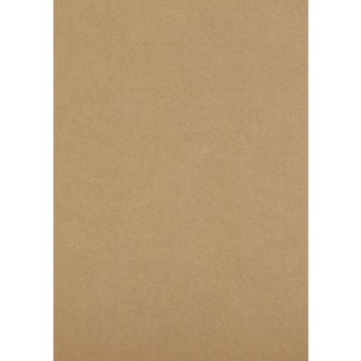 トラスコ中山 TRUSCO 段ボールシート 210x297 DS2129 1枚 396-4011（直送品）