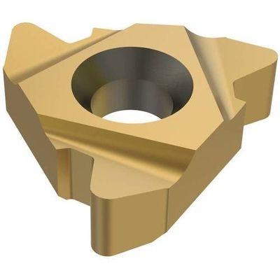 セコ・ツールズ・ジャパン セコ 旋削 ねじ切り用インサート CP300 22ER4API386 1セット(2個) 429-8625（直送品）