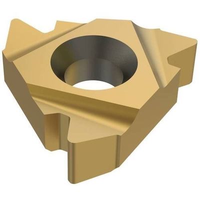 セコ・ツールズ・ジャパン セコ 旋削 ねじ切り用インサート CP300 22ER5API404 1セット(2個) 430-0138（直送品）