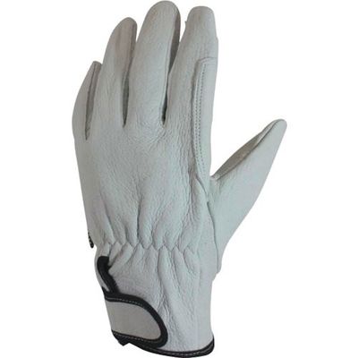 キタヤマ TryAnt 牛床革手袋 TAー538 M TA-538-M 1セット(12双) 342-1354（直送品）