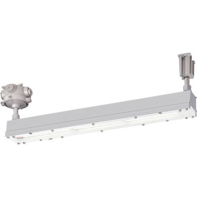 岩崎電気 岩崎 安全増防爆形LED照明器具Hf32w×1灯用高出力相当(直付) EYICL1021SA9-22 1台 362-2362（直送品）