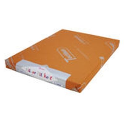 SAKAEテクニカルペーパー シルバーケント紙 Sー115ーA4(規) S-115-A4(キ) 1セット(50枚)（直送品）