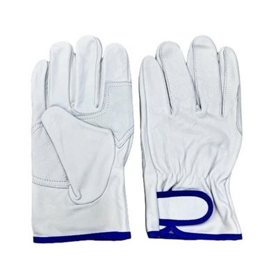 アズワン 牛表革手袋 補強当付き L 4-3745-03 1双（直送品）