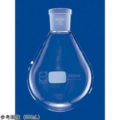アズワン エバポレーター用ナスフラスコ 250mL 03042949 1個 4-3826-02（直送品）