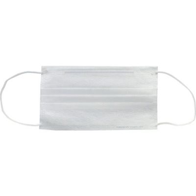 トラスコ中山 TRUSCO 作業用マスク(耳掛けタイプ)2層 (100枚入) TEM2L-100 1箱(100枚) 231-0257（直送品）