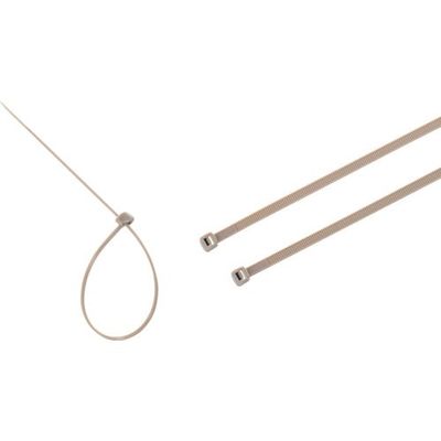 トラスコ中山 TRUSCO PEEK結束バンド 全長150mm 引張強度411.6N(100本入) TPK-150SH 1袋(100本)（直送品）