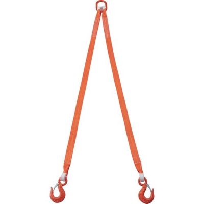 TRUSCO 2本吊ベルトスリングセット 50mm幅X2m 吊り角度60°時荷重2.58t(最大使用荷重3t) G50-2P20 1セット（直送品）