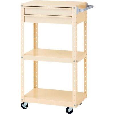 山金工業 ヤマテック スペシャルワゴン 移動式 キャビネット浅型2段×1個 ヤマテックアイボリー W6CSH-S-IV 1台（直送品）