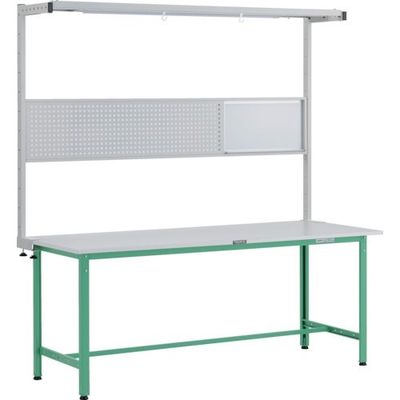 RAE-1860THFS YG（直送品）