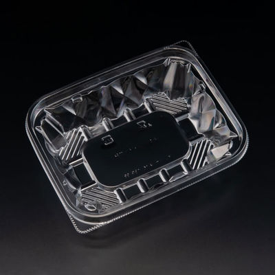 サラダ容器　バイオ アソートケース 16-13B(38)　900枚(50枚×18) PBPU301　リスパック（直送品）