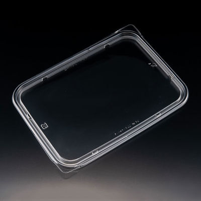 サラダ容器　バイオ アソートケース 22-16 TC　600枚(50枚×12) PBPU851　リスパック（直送品）