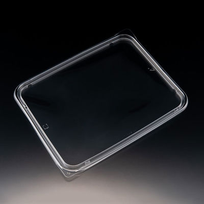 サラダ容器　バイオ アソートケース 24-20 TC　400枚(50枚×8) PBPU931　リスパック（直送品）