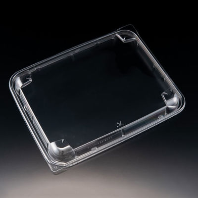 サラダ容器　バイオ アソートケース 24-20 OC　400枚(50枚×8) PBPU936　リスパック（直送品）