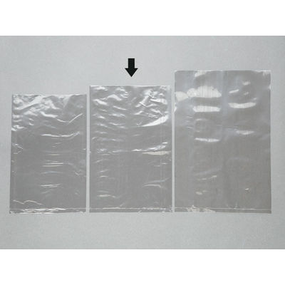 大阪ポリエチレン 無地規格PE袋 No.10 1000枚(100枚×10) 1406 1ケース(1000枚入(100枚×10袋))（直送品）