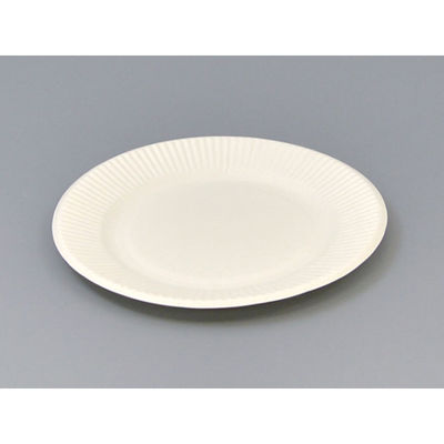 紙皿 プレートスタンダード 業務用 No.6 2400枚(100枚×24) 00096978 1ケース(2400枚入(100枚×24袋))（直送品）