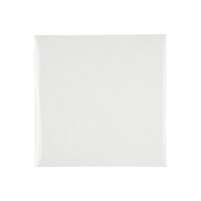 ベルグリーンワイズ OPPフィルム #20 150×150 1000枚(1000枚×1) 00542631 1包(1000枚入)（直送品）